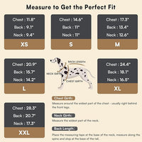 cozy dog sweater for outdoor walks and cold weather
