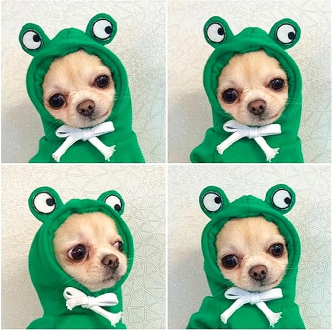 cozy small dog hoodie fleece fruit design
