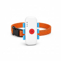 Durable Smart Pet Device For Everyday Indoor And Outdoor Use