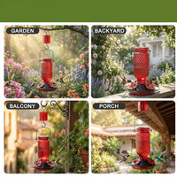 Decorative Glass Seed Feeder with Hanging Design for Wild Birds