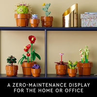 desk plant decoration set for modern workspace styling