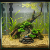 Desktop Aquarium Decor With Natural Tree Appearance