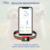 Dog and cat collar accessory with adjustable strap