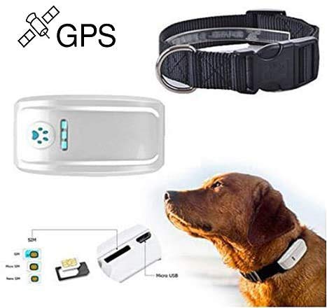 Dog and cat collar holder with adjustable straps
