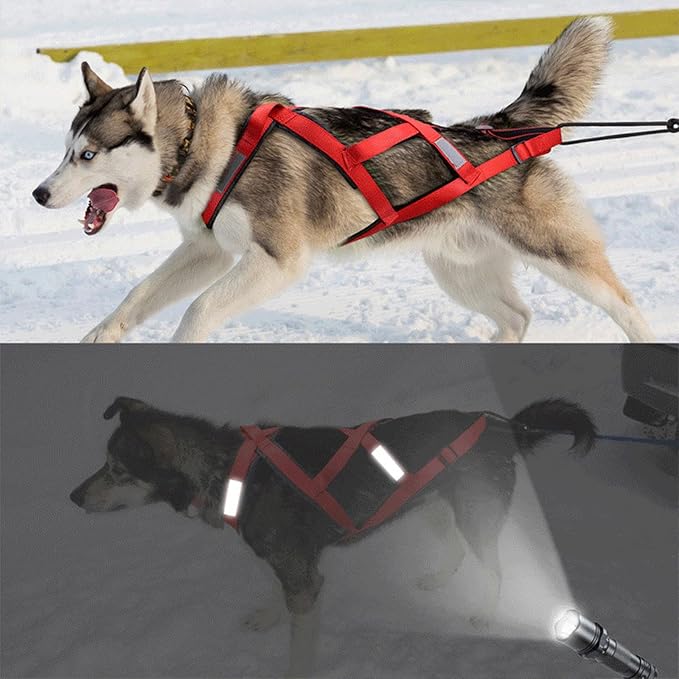 Dog chest harness with traction rope for sledding and hiking