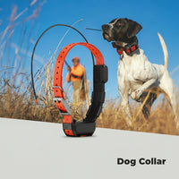 Adjustable strap dog collar accessory for dogs and small pets
