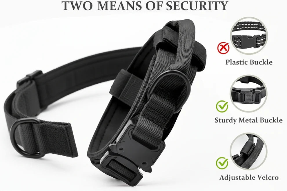 Dog leash collar and portable water bottle set