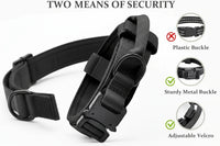 Dog leash collar and portable water bottle set