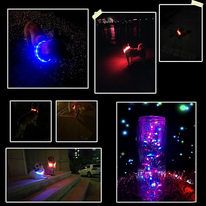 Light-up dog collar with USB rechargeable battery for outdoor use
