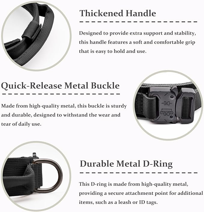 Close-up of metal buckle fastening on an adjustable dog collar