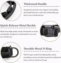 Close-up of metal buckle fastening on an adjustable dog collar