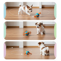 Dog Fetch Toy Ball With Lightweight Bouncing Design