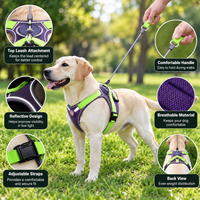 Dog harness with top leash attachment and integrated retractable lead