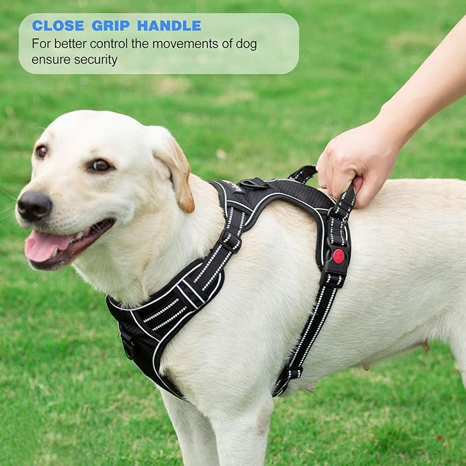 No Pull Dog Harness Set with 5ft Leash, Ideal for Medium and Large Dogs