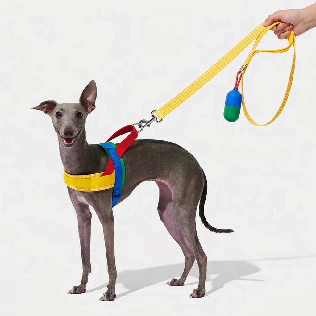 Dog harness and leash set for everyday walking