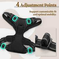 Dog harness vest with front and back leash clips