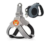 Dog harness with matching leash for everyday walking