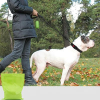 Durable rope dog leash for safe and comfortable daily walks