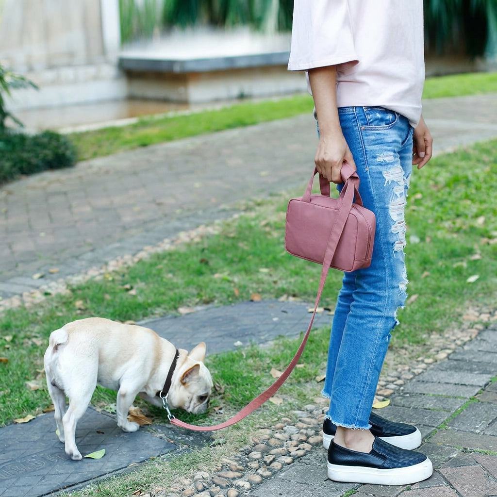 Dog leash with attached snack bag for carrying pet treats