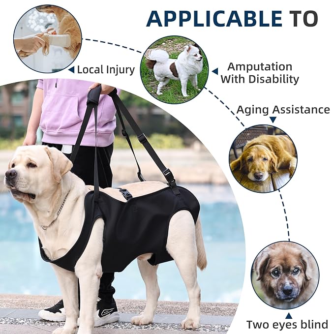 Dog Lift Harness for Assisted Walking and Mobility Support