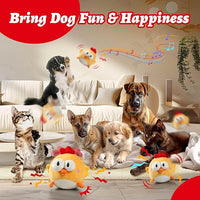 Dog motion toy ball for active play sessions