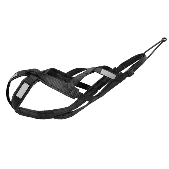Outdoor sledding harness and traction rope for compatible dogs