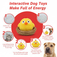 Rechargeable dog play toy for daily fun