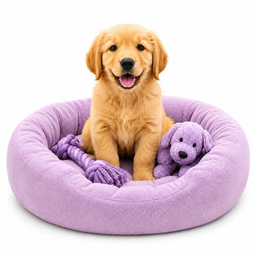 Dog products category image with golden puppy in lavender pet bed