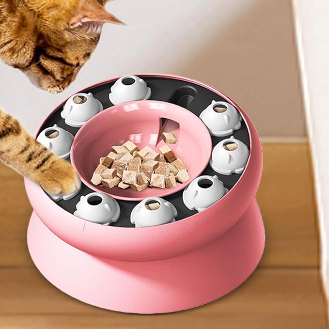 Dog Slow Feeder Bowl with Raised Puzzle Surface