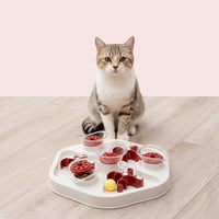 Dog slow feeding puzzle tray with interactive maze compartments
