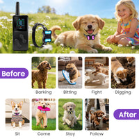 Dog training collar with handheld remote control and light function