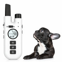 Dog Training Collar Set with Remote Controller and Accessories