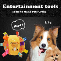 Dog Training Toy Ball with Sound Feature