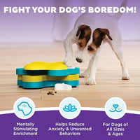 Dog treat game toy for indoor play