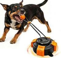 Black and orange dog tug toy with rope design for puppies and dogs, suitable for supervised daily play.