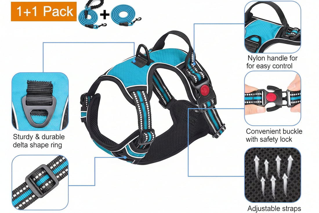 Front view of an adjustable dog walking harness