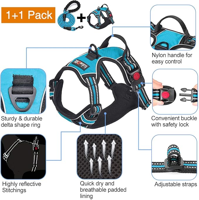 Front view of an adjustable dog walking harness