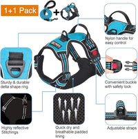 Front view of an adjustable dog walking harness