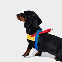 Dog walking set with harness leash and waste bag accessories