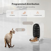 Double Bowl Pet Feeder For Cats And Small Dogs