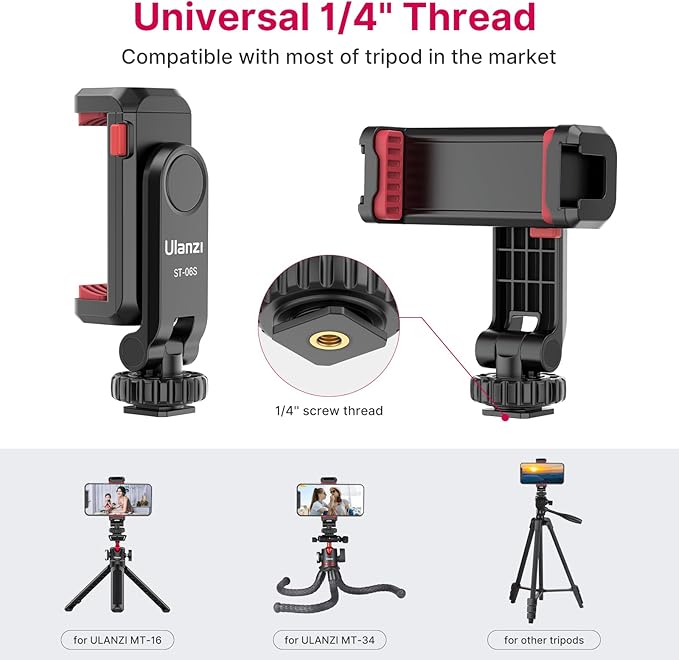phone mount with dual cold shoe for microphone and led light