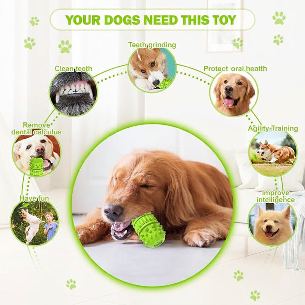 Durable Dog Play Toy For Interactive Chewing Activities