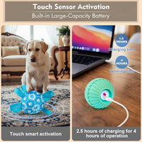 durable interactive dog toy for mental and physical stimulation