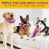Nylon dog toys designed for regular chewing and interactive play