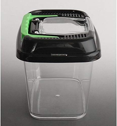 Transparent Critter Keeper for Easy Observation of Lizards, Frogs, and Insect