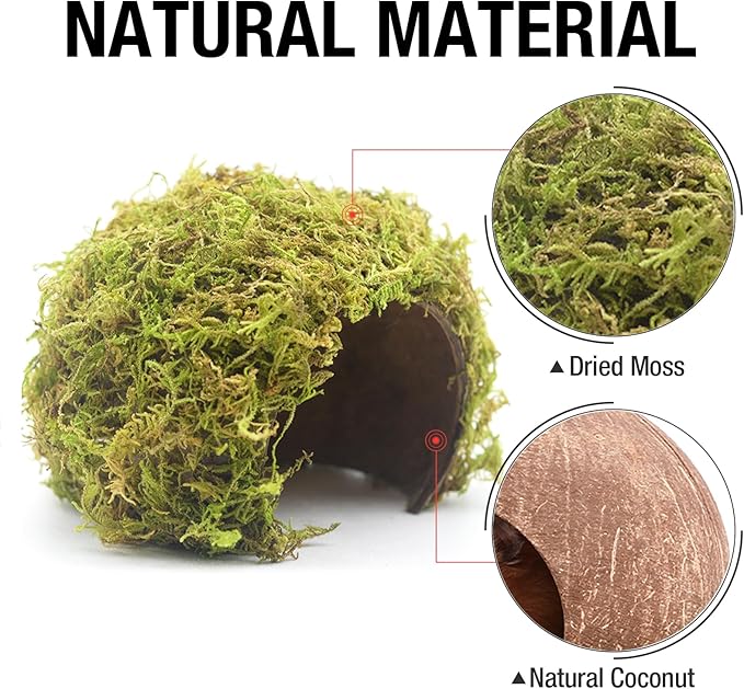 Eco-Friendly Hamster House with Moss Covering