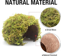 Eco-Friendly Hamster House with Moss Covering