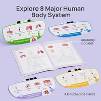 Educational human body model with organs for children