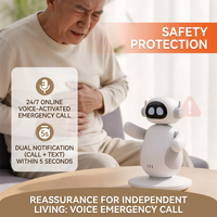 AI robot with conversational interaction features