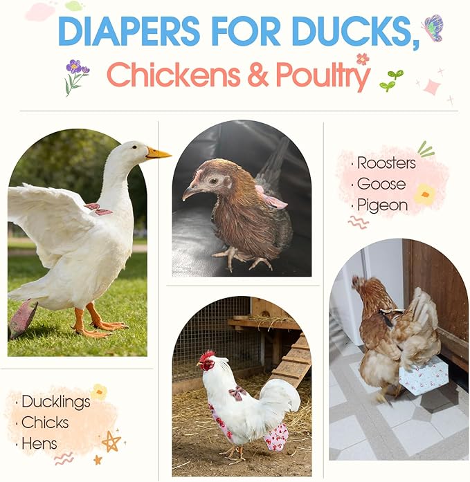 Elastic strap fastening system on poultry diaper